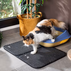 Si vous êtes à la recherche de nouvelles tendances sur le marché, nous vous présentons Tapis de Litière pour Chat Clikatt Inn ...