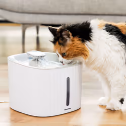 Si vous aimez l'univers des gadgets, InnovaGoods vous propose les meilleures et les plus originales nouveautés en matière de  ...