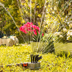 InnovaGoods vous offre les meilleures nouveautés pour la maison, comme Asperseur d’Arrosage 360° pour Jardin Klerdden InnovaG ...