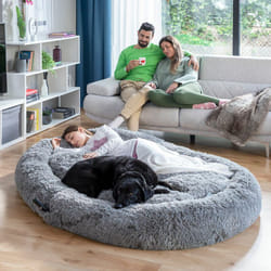 Innovagoods - Lit de Chien pour Humains Human Dog Bed xxl Grey