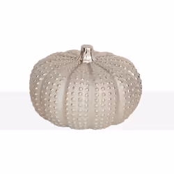 Citrouille de porc. Champagne Matériel: Porcelaine Couleur: Champagne Assemblage requis : 0 20x20x14 cm