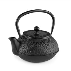 Orbegozo TTH 500 théière Théière simple 500 ml Noir