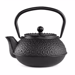 Orbegozo TTH 500 théière Théière simple 500 ml Noir