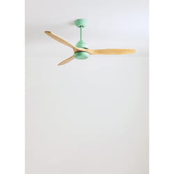 CREATE WIND CUP Vert, Bois