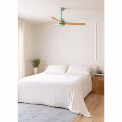 CREATE WIND CUP Vert, Bois