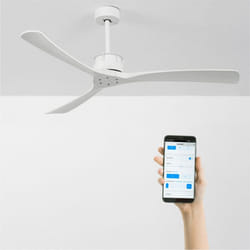 Ventilateur de Plafond - WIND LARGE - Silencieux 40W - Ø152 cm - Bois Naturel - 6 Vitesses - Télécommande - Multicolore