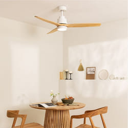 Ventilateur de Plafond - WIND STYLANCE - Ø132 cm - Bois - Silencieux - 6 Vitesses - Télécommande - CREATE - Multicolore