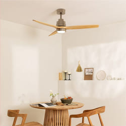Ventilateur de Plafond - WIND STYLANCE - Ø132 cm - Bois - Silencieux - 6 Vitesses - Télécommande - Multicolore