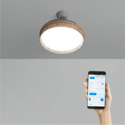 Ventilateur de plafond - WIND CLEAR RATTAN - Silencieux 40W - Pales rétractables - Éclairage LED 36W