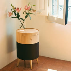 Table Basse Enceinte - CREATE - Modèle avec Subwoofer - Bluetooth 5.0 - Chargeur Sans Fil - Tiroir de Rangement