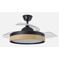 Fabrilamp 207091388 ventilateur Hêtre, Noir