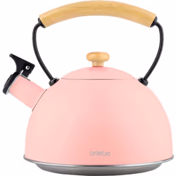 Briebe 00447 bouilloire 2,3 L Rose