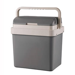 Briebe CF1151 glacière 21 L Electrique Gris