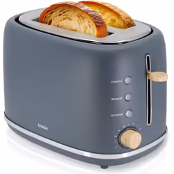Briebe TA1166GRY, 2 part(s), Gris, Boutons, Niveau, Rotatif, 870 W, 220 - 240 V, 50 - 60 Hz