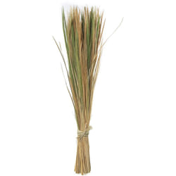 Fijalo - Bouquet de feuilles d'herbe naturelle 100 cm