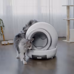 Cecotec Pumba 7000 CleanKitty Compact Connected Chat Robot litière Blanc