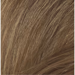 Naturtint Permanent couleur de cheveux Blonde 170 ml
