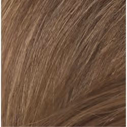 Naturtint Permanent couleur de cheveux Blonde 170 ml