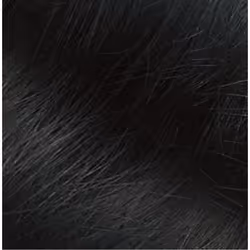 Naturtint Permanent couleur de cheveux Noir 170 ml