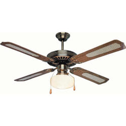 Orbegozo CL-06132 M ventilateur Or