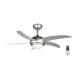 Orbegozo CP 53132 A ventilateur Gris