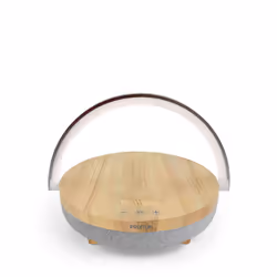 PRIXTON Speaker Light Madera, 6,6 cm, 10 W, Avec fil &sans fil, 10 m, USB Type-C, Blanc, Bois