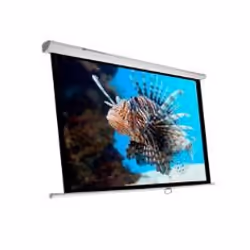 Phoenix Technologies PHPANTALLA-200, 2,84 m (112"), 1:1