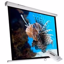Phoenix Technologies PHPANTALLA-ELEC240, 3,43 m (135"), 1:1