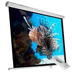Phoenix Technologies PHPANTALLA-ELEC240 écran de projection 3,43 m (135") 1:1