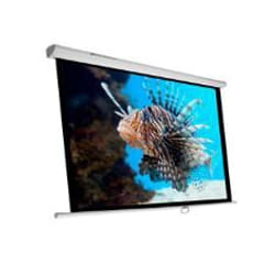 Phoenix Technologies PHPANTALLA-240 écran de projection 3,43 m (135") 1:1