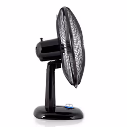 Orbegozo TF 0134 Noir