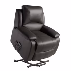 ECODE® Fauteuil Releveur Relax Massage  100% Cuir 9 programmes de Massage ECO-8620UP (Marron)