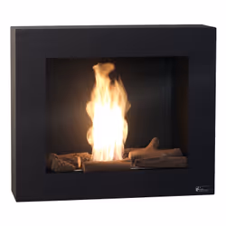 Purline BESTBIO AF-BB, Cheminée encastrable, Ouvert, Éthanol, Noir, Intérieure, horizontale