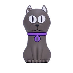 TECH1TECH TEC5133-16 lecteur USB flash 16 Go USB Type-A 2.0 Gris