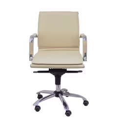 PIQUERAS Y CRESPO 255CBCR chaise et fauteuil de bureau Siège rembourré Dossier rembourré