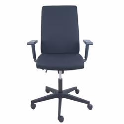 PIQUERAS Y CRESPO 322NE chaise et fauteuil de bureau Siège rembourré Dossier rembourré