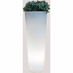 FICUS (ø29x59 cm) : Il s'agit d'une jardinière cylindrique avec une large base de plantation. Sa hauteur et sa légèreté perme ...