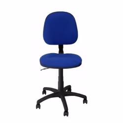 PIQUERAS Y CRESPO 267CPARAN229 chaise et fauteuil de bureau Siège rembourré Dossier rembourré