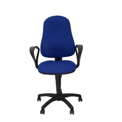 PIQUERAS Y CRESPO 271SARAN229 chaise et fauteuil de bureau Siège rembourré Dossier rembourré
