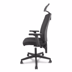 PIQUERAS Y CRESPO I-Line Chaise avec assise rembourrée Dossier rembourré - Vue supplémentaire 3