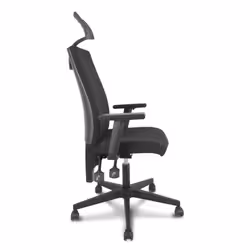 PIQUERAS Y CRESPO I-Line Chaise avec assise rembourrée Dossier rembourré - Vue supplémentaire 7