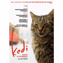 Cameo Kedi (Gatos de Estambul), DVD, Turc, 2D, Espagnol, 16:9, 1.85:1