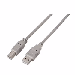 AISENS A101-0003, 3 m, USB A, USB B, USB 2.0, Beige