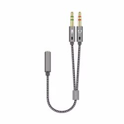 AISENS A128-0417, 2 x 3.5mm, Mâle, 3,5mm, Femelle, 0,25 m, Gris