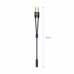 AISENS A128-0418 câble audio 0,25 m 2 x 3.5mm 3,5mm Noir