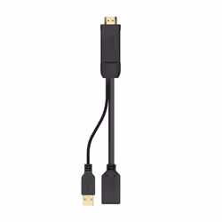AISENS A122-0642 câble vidéo et adaptateur 0,1 m HDMI Type A (Standard) DisplayPort + USB Type-A Noir