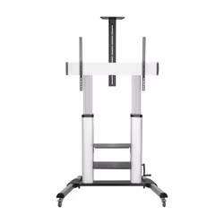 AISENS FT100TE-125, 152,4 cm (60"), 2,54 m (100"), 200 x 200 mm, 1000 x 600 mm, Acier, Noir, Argent