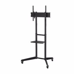 AISENS Eco, 177,8 cm (70"), 100 x 100 mm, 600 x 400 mm, -12 - 5°, Acier, Noir