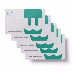 Wallbox RFID-10 carte d'accès Carte RFID