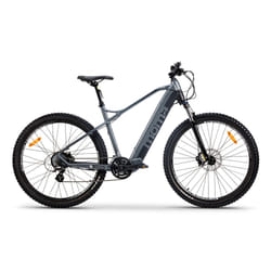 Moma BIE29MTRMG20 vélo électrique Gris Aluminium L 73,7 cm (29") Lithium